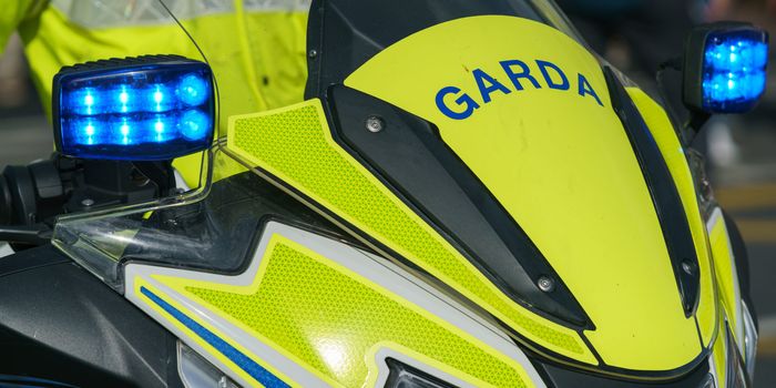 Gardai arrested two men following the incident at Dublin Airport