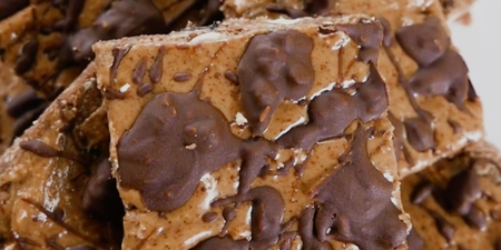 These homemade power bars are perfect when you are looking for a little treat