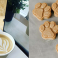 This new dog-friendly Dublin café has free treats for all visiting pup-stomers