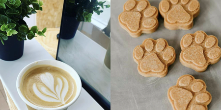 This new dog-friendly Dublin café has free treats for all visiting pup-stomers