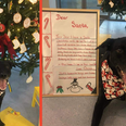 WATCH: After eight years, this Dublin dog’s Christmas wish to be adopted came true