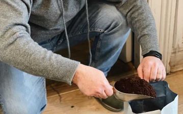Calling all plant parents – This Dublin café is giving away free compost 