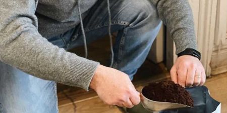 Calling all plant parents – This Dublin café is giving away free compost 
