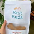 Pick up some fancy treats for your doggo in Dublin 8