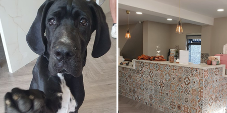 A new pup-friendly and Insta-worthy cafe has opened in Clonskeagh!