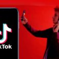 Looking to become the next big thing on TikTok? Find out everything you need to know with this online course