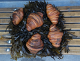 Seaweed croissants at this Dublin bakery? Now we’ve heard everything!