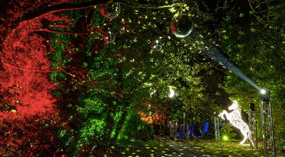 Check out this gorgeous lights event happening at Malahide Castle