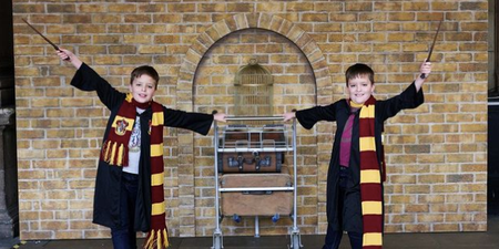 Harry Potter takes over Dundrum Town Centre this weekend to celebrate 20th anniversary