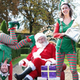 Santa is coming to the IMMA this winter and tickets go on sale today!