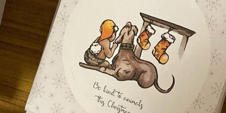 The DSCPA have released some adorable Christmas cards