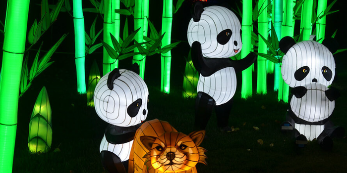 three lanterns in the shape of pandas and one shaped like a fox, with fluorescent green bamboo in the background