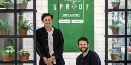 ‘Back on the street that made us’ Sprout to reopen on Dawson Street