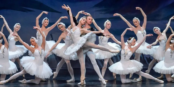 ballerinas in white tutus on stage during a production of Swan Lake