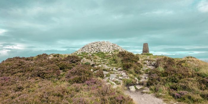 Tick Nock Walk with heather bushes, a cloudy blue sky and the well known fairy castle