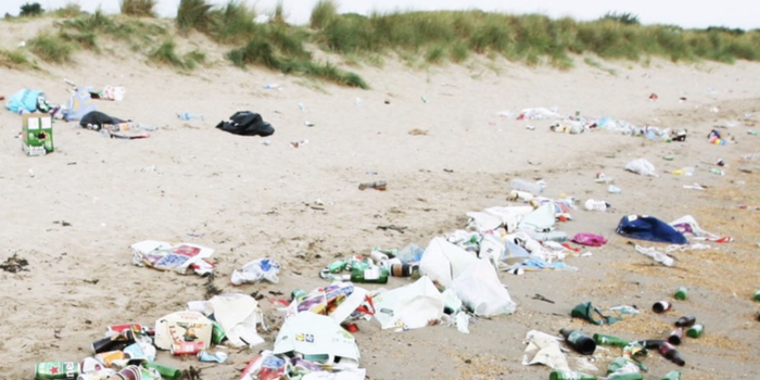burrow beach litter