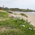 Do Not Swim notice issued for Balbriggan beach due to high levels of E.coli