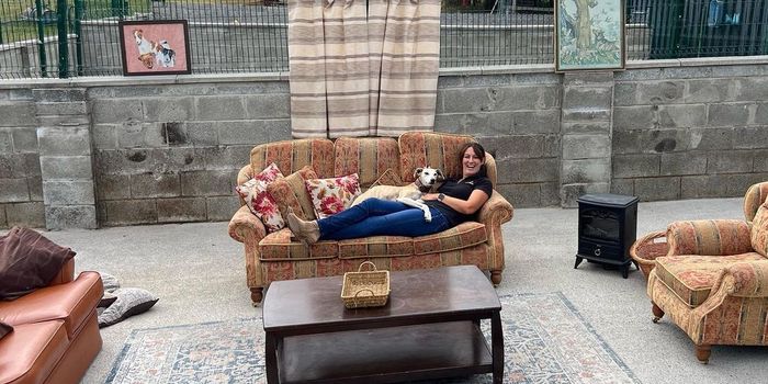 a living room set up with couches, rug and coffee table outside at dog shelter, with lurcher and a shelter worker sitting on one of the couches