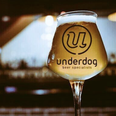 ‘And just like that… we’re back!’ Underdog to reopen at The Legal Eagle