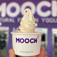 End of a decade-long era as froyo shop Mooch to close down