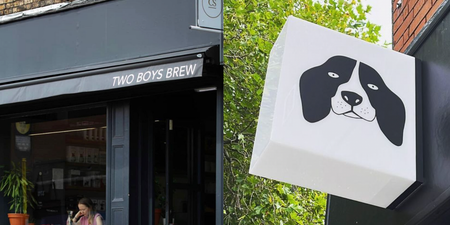 Two Boys Brew have launched their new venue Milo’s in Drumcondra