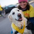 Everything you need to know about Darkness Into Light 2023