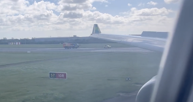 Aer Lingus flight pigeon