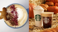 On the 20 year anniversary of the Pumpkin Spice Latte, are we finally over it?